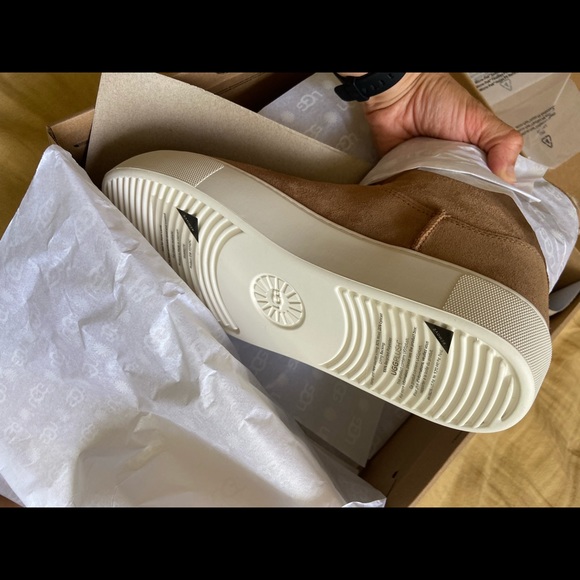 ugg lynus high top platform sneaker boot